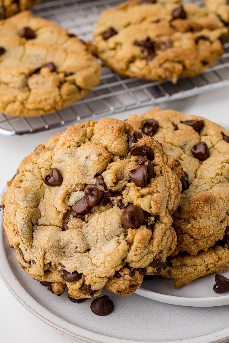 Chocolate Chip Walnut Cookies - She Shared