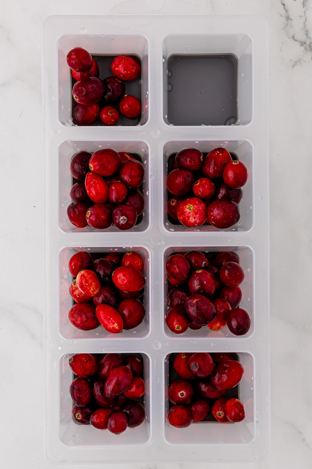 filling ice cube tray with cranberries