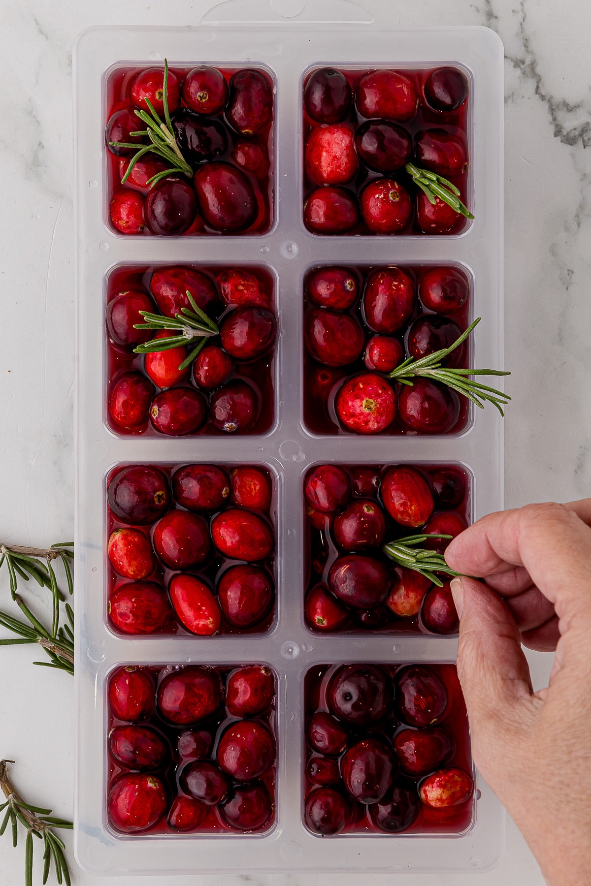 placing rosemary sprigs into a square ice cube tray