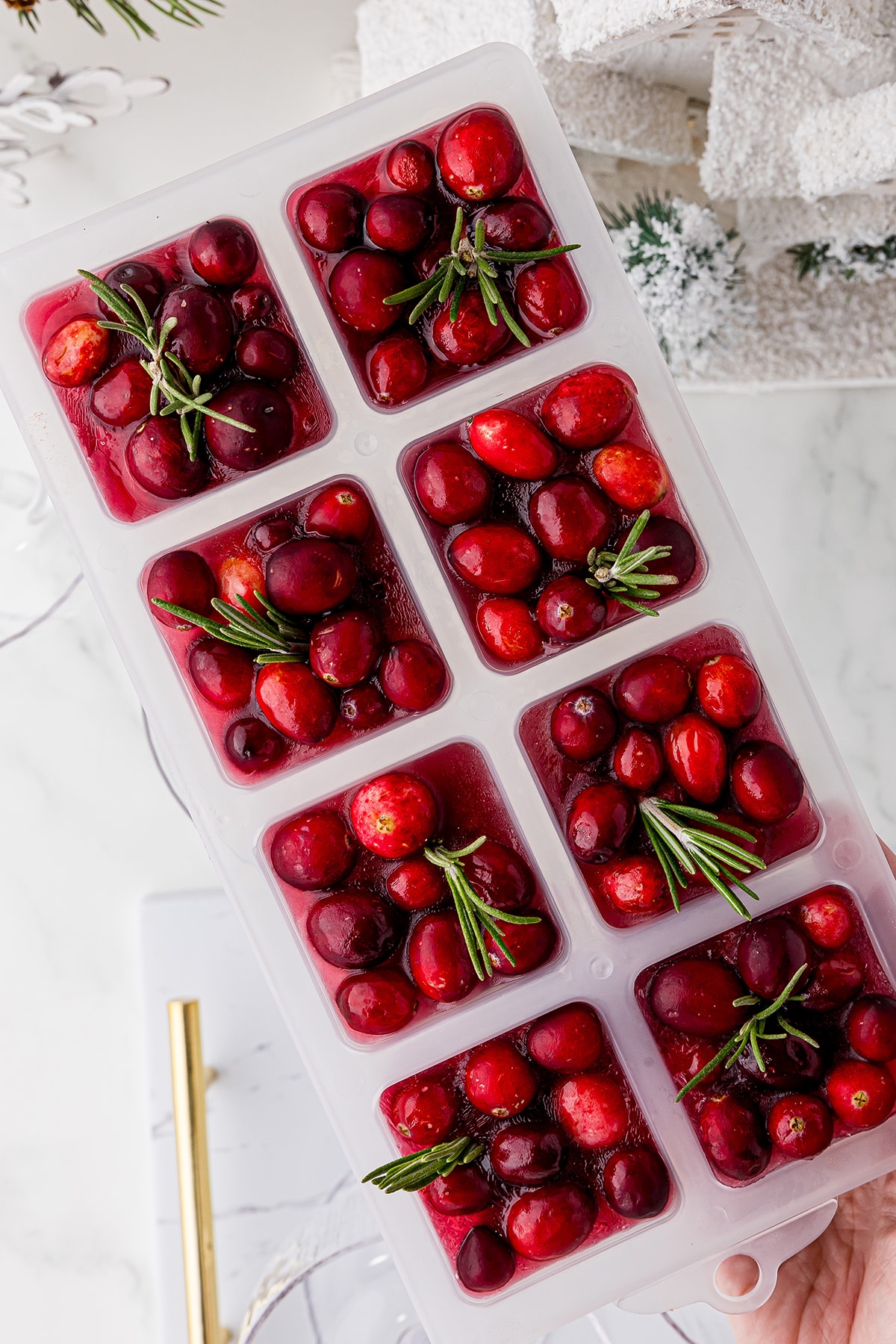 oversized square ice cubes with frozen cranberries, and a sprig of rosemary