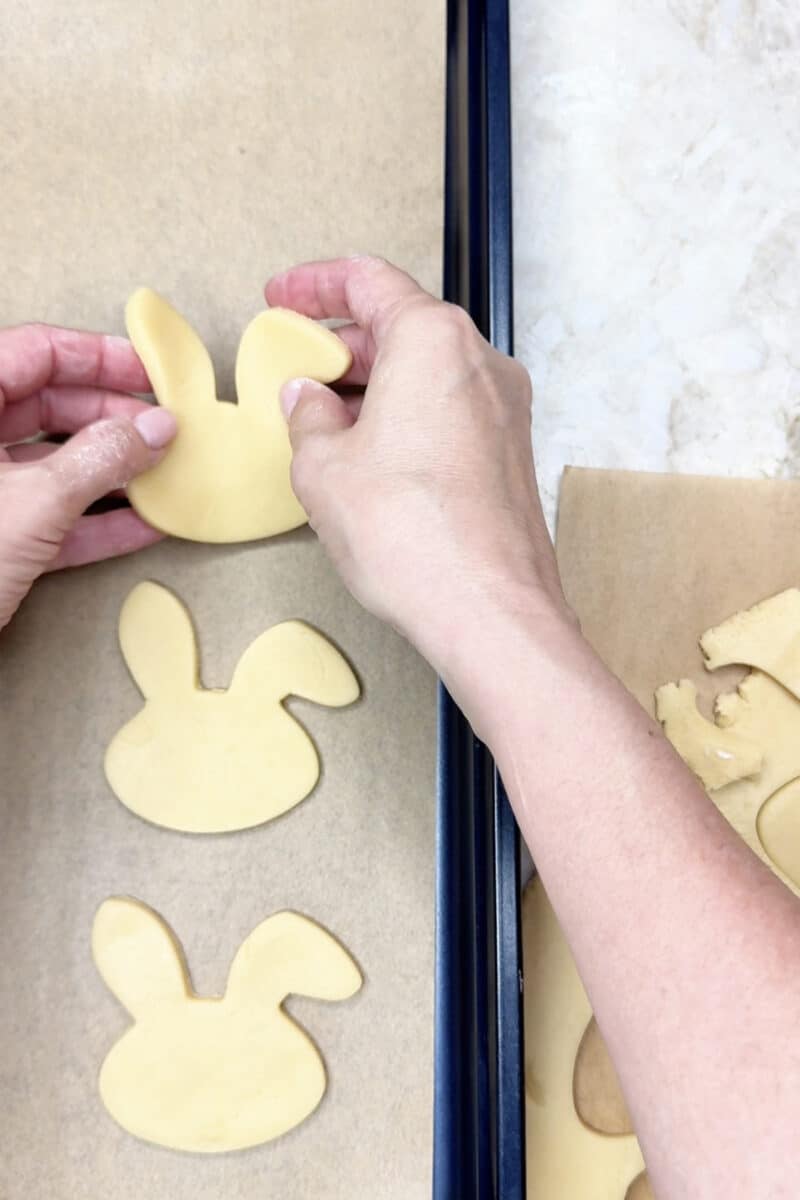 Placing cut out Easter cookies on parchment paper on cookie sheet