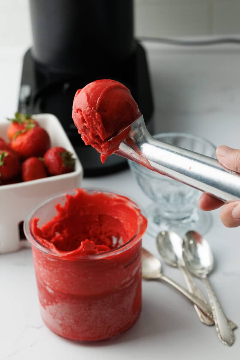 scoop of strawberry sorbet