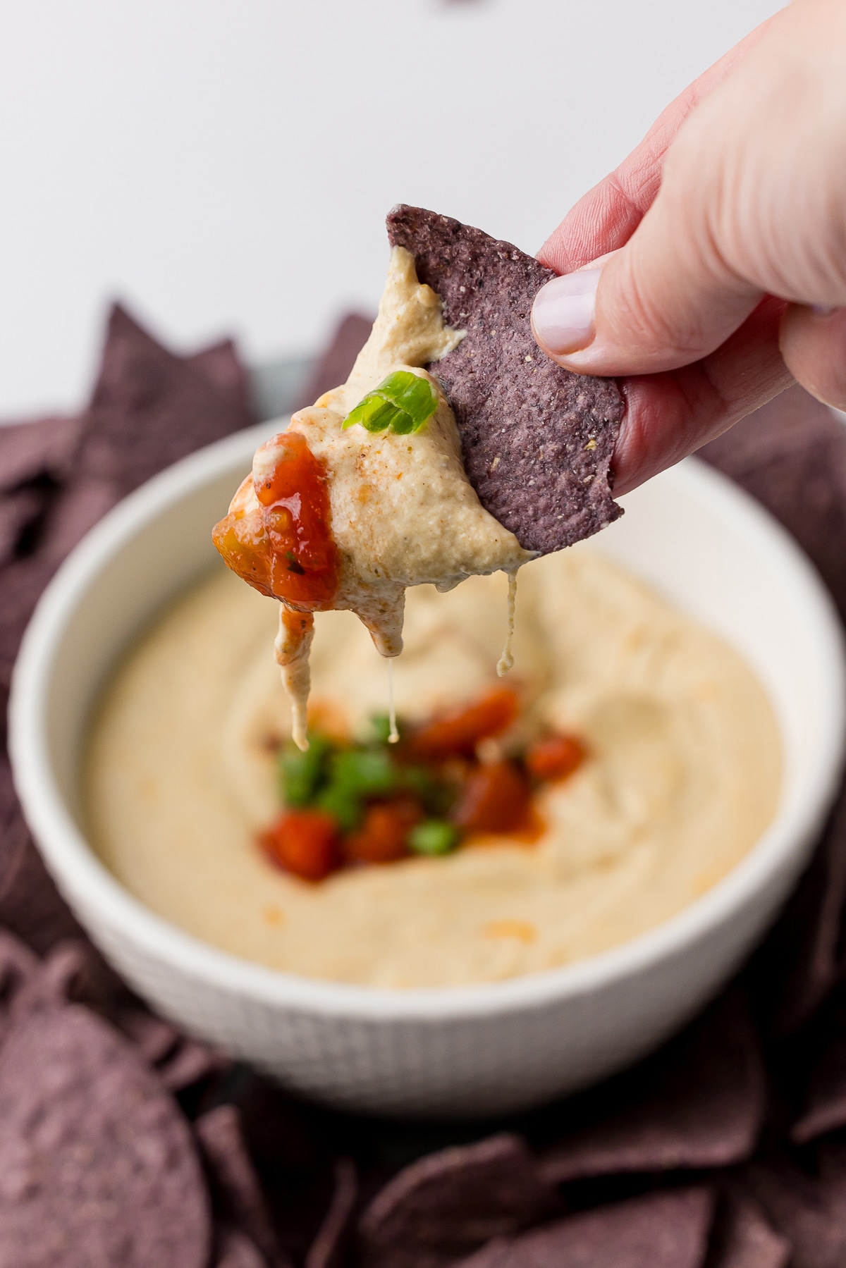 blue corn tortilla chip dipped in cottage cheese queso