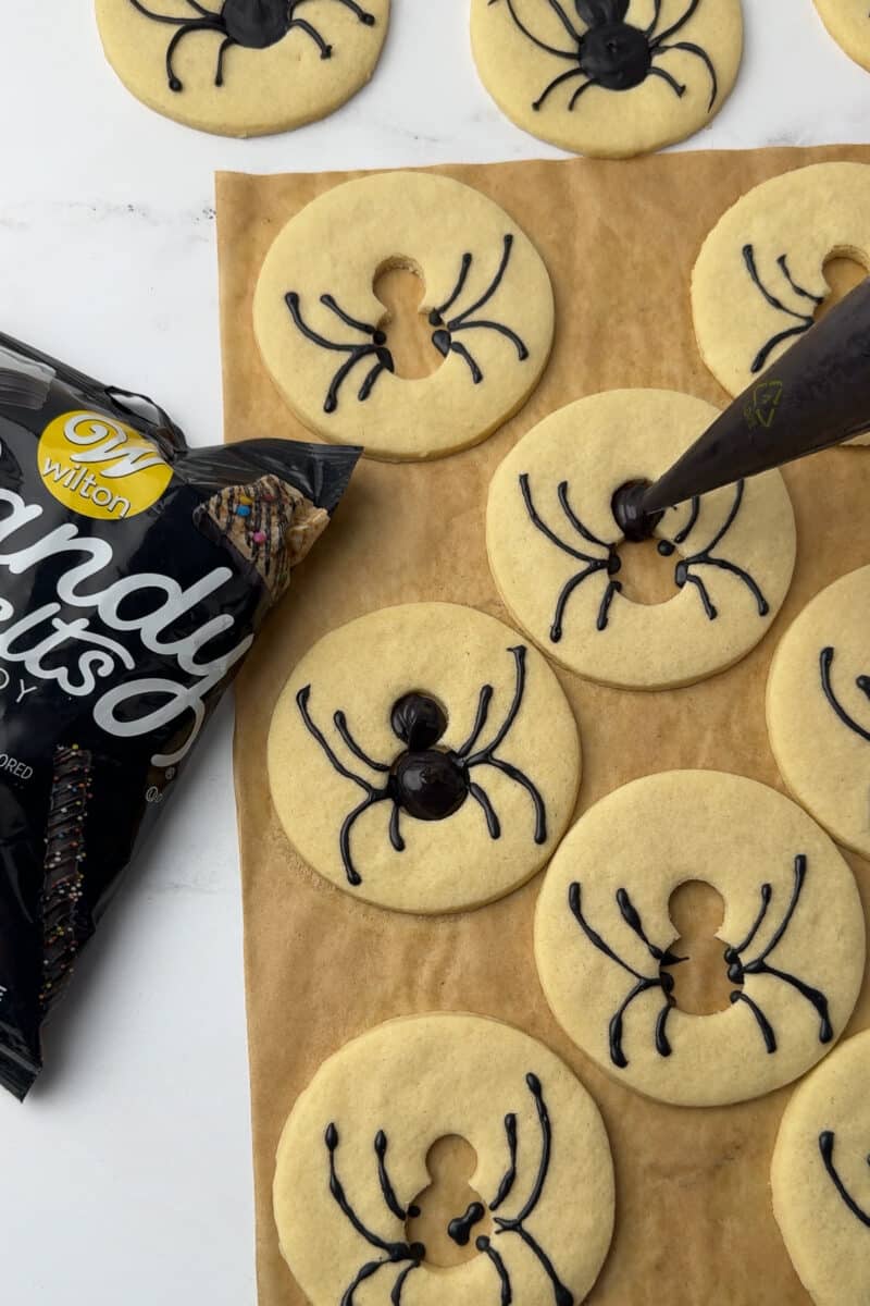 round sugar cookie dough with spider bodies cut out on a cookie sheet