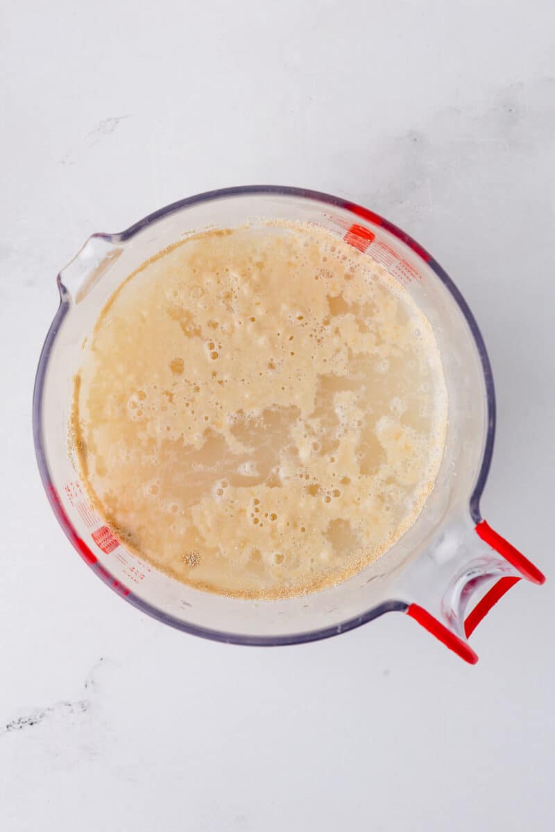 bubbling yeast in water