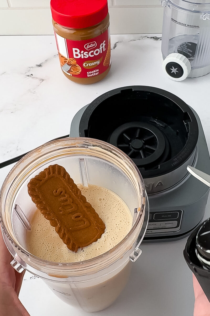 ninja blender with biscoff cookie ice cream