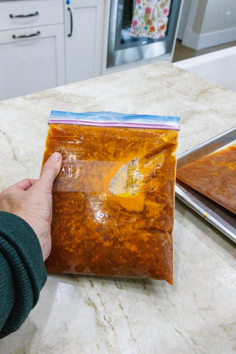 A hand holding a vertically frozen Ziploc bag of tomato sauce to show its thin profile.